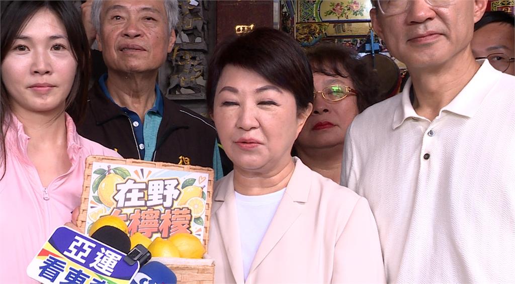 盧秀燕促「在野大聯盟」！　綠諷自打臉、藍小雞：各自努力