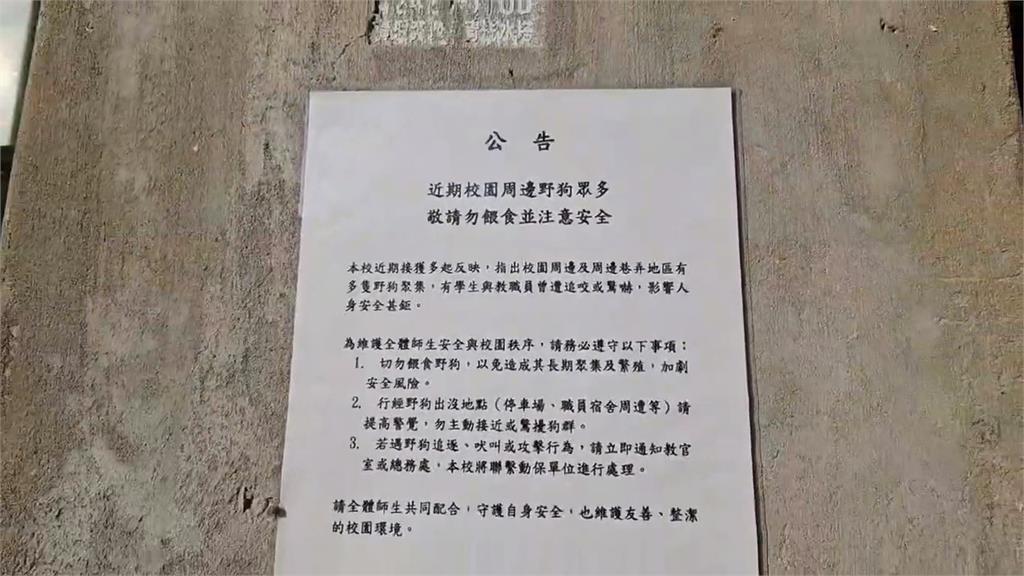 基隆暖暖公托外流浪犬「愛追車」 家長、老師都被追危害安全