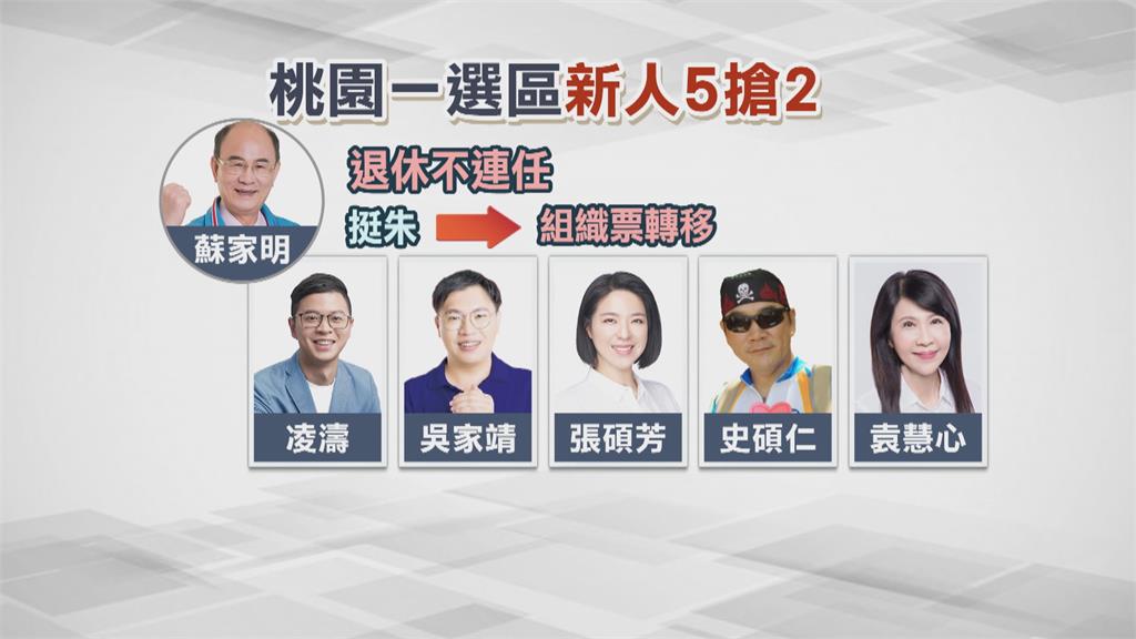 辭國民黨文傳會主委 凌濤宣布參選桃議員