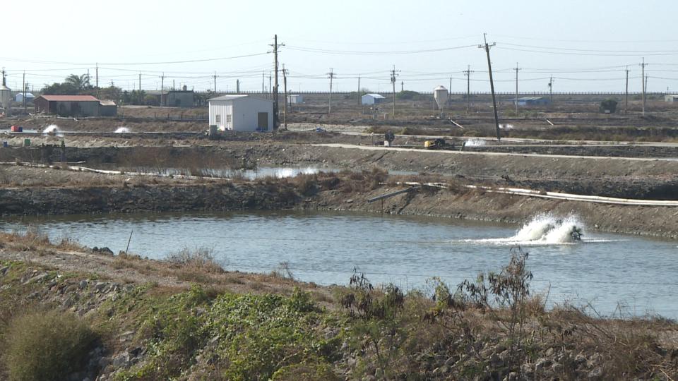 異言堂/光電業搶魚塭種電阻轉型? 年輕漁民嘆:有錢租不到