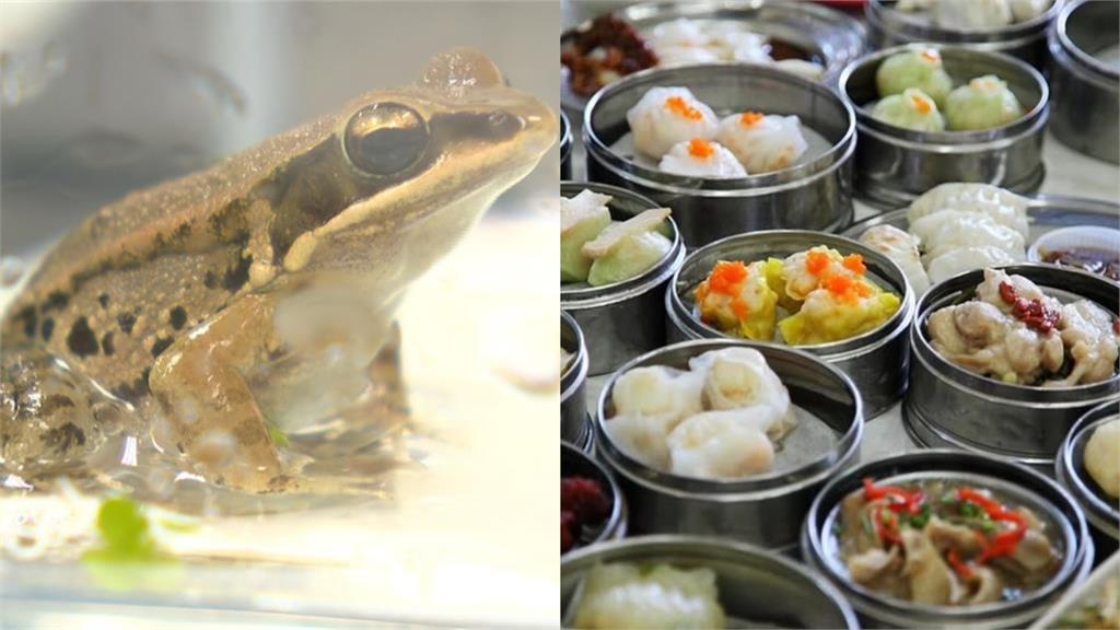 8颱風今年確定除名!奇葩新名從「青蛙到點心」網笑:有珍奶嗎?