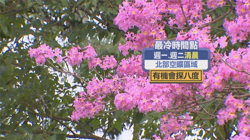 週日晚起急凍!恐達強烈大陸冷氣團 氣象局預報全台這兩天最冷