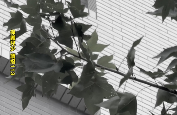 分手後發現懷孕？　22歲母「家中產子」後將男嬰推下樓慘死