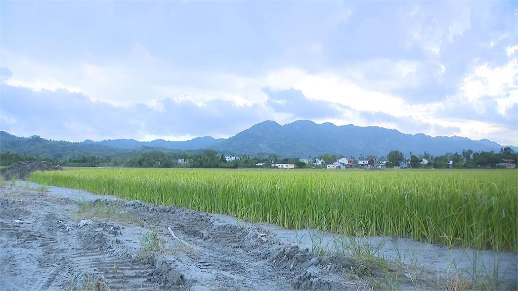 堰塞湖溢流收成沒了... 月繳貸款20萬農民喊苦