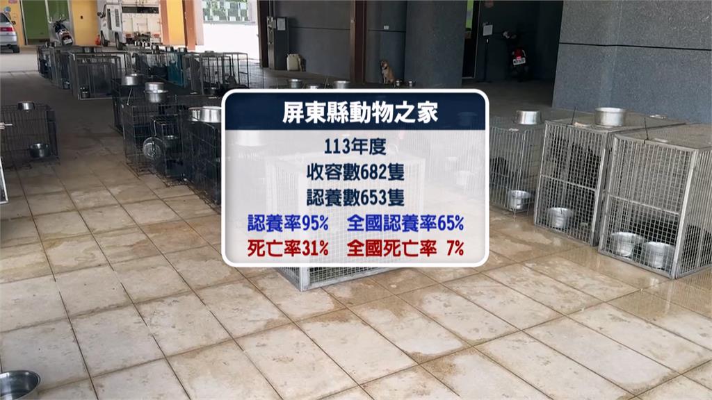 貓狗認養率、死亡率居冠! 屏東「動物之家」盼加蓋房舍