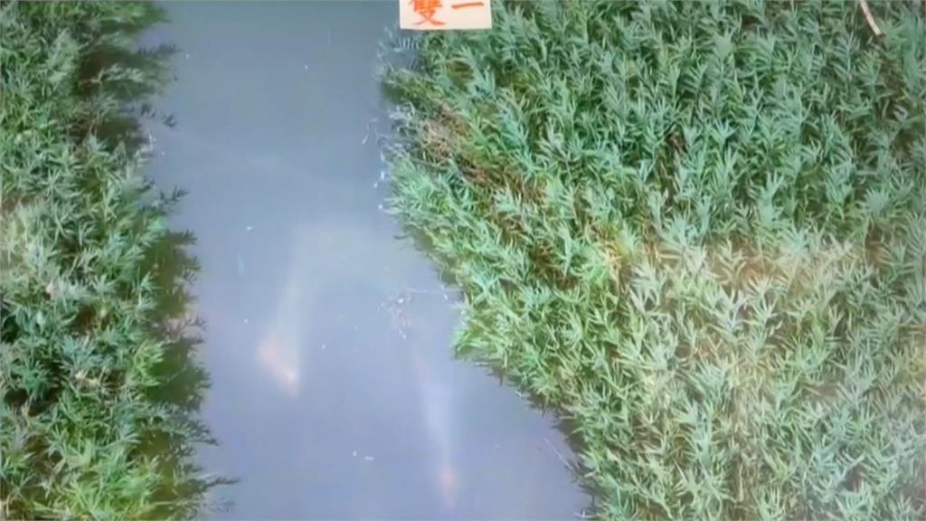 男大生落水失聯逾24小時！消防持續搜救　友人曝：他很會游泳