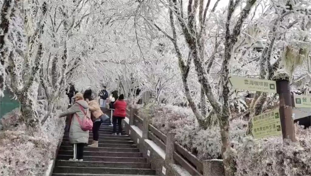 快新聞／宜蘭太平山低溫「零下1度」未降雪   山林佈滿霧淞彷彿撒上糖霜美景曝