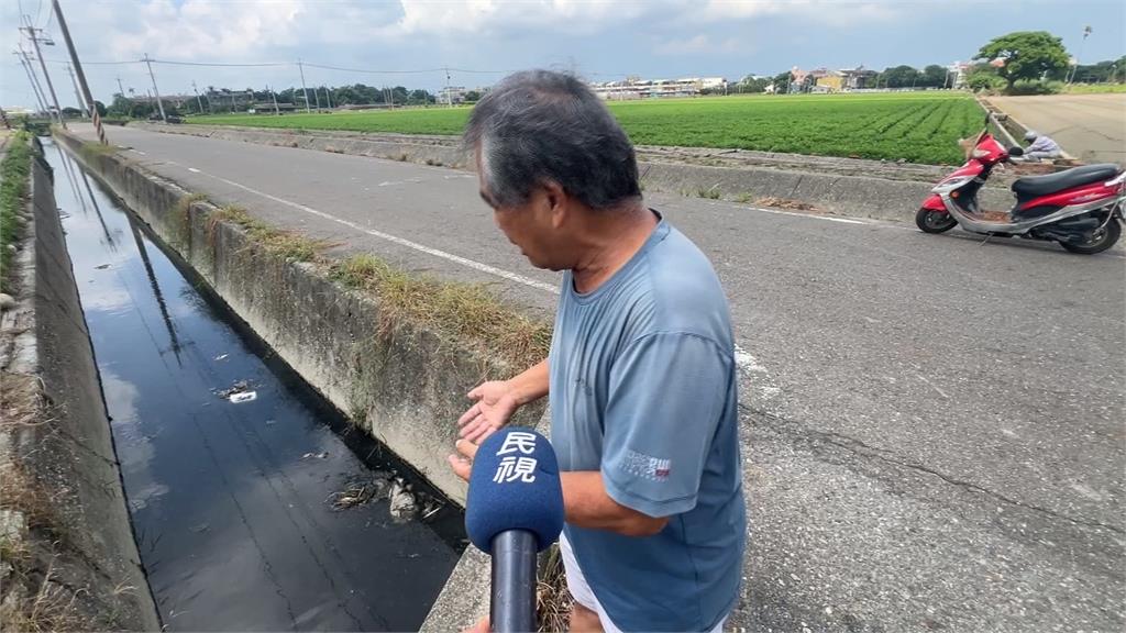 惡臭沖天!雲林養鵝場鵝毛排農業溝渠 農民叫苦連天