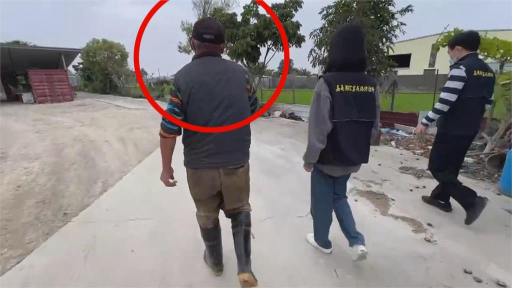 殘忍！嘉義犬隻遭割聲帶　黑心繁殖場遭移送偵辦