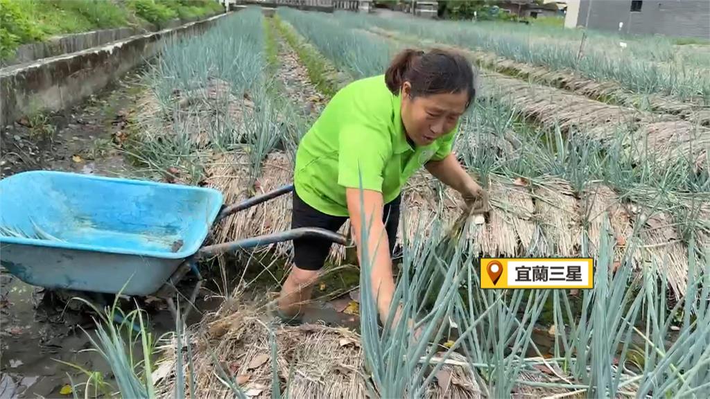 山陀兒最快週日海陸警齊發　宜花東首當其衝