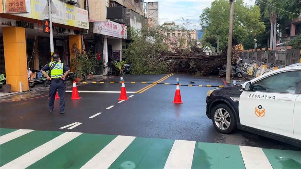 台中60年路樹突倒塌　壓毀3車.占據雙向車道