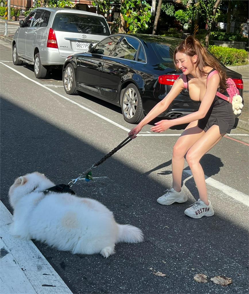 又大又白!愛犬「躺斑馬線」超兇正妹崩潰拔河 網一面倒:禮讓行人