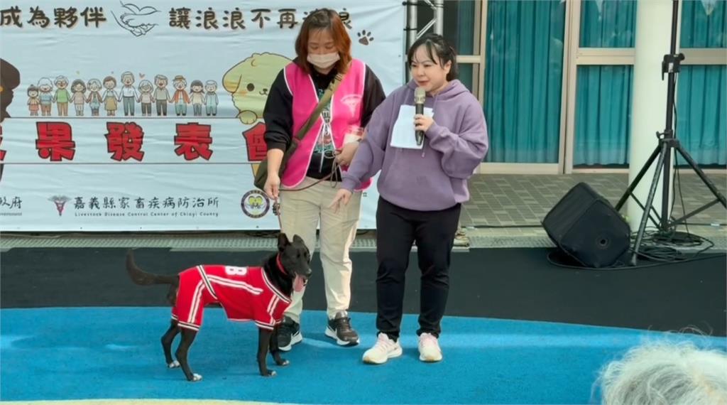 嘉縣獨創浪浪就業服務站 讓流浪狗成為夥伴