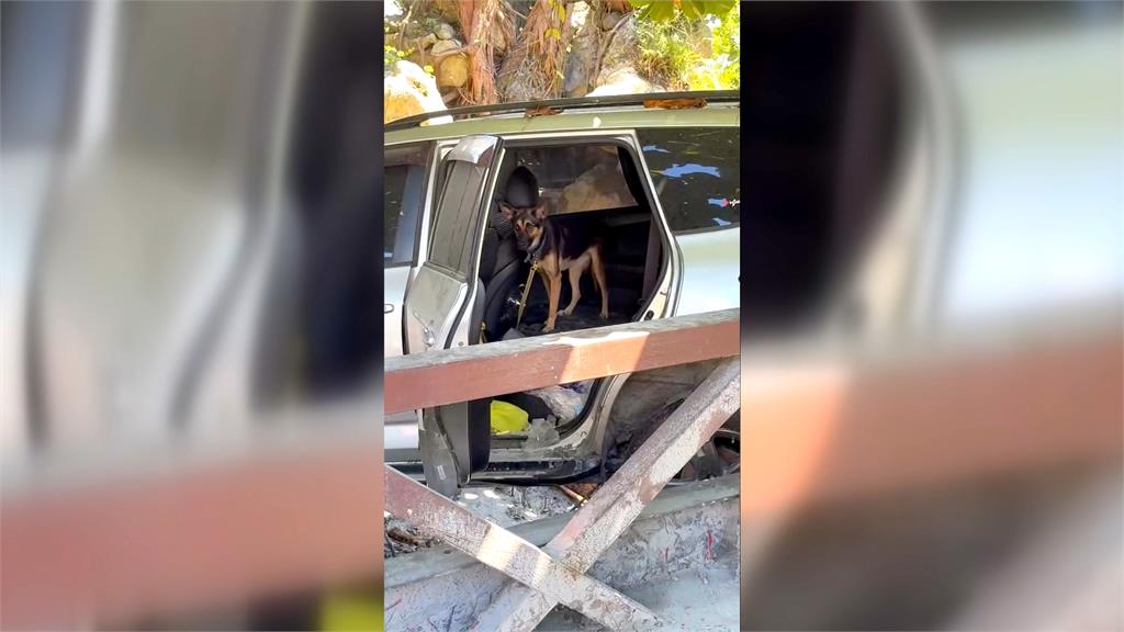 蘇澳海事生助救災好奇開車門 活生生小狗探出頭師生驚喜