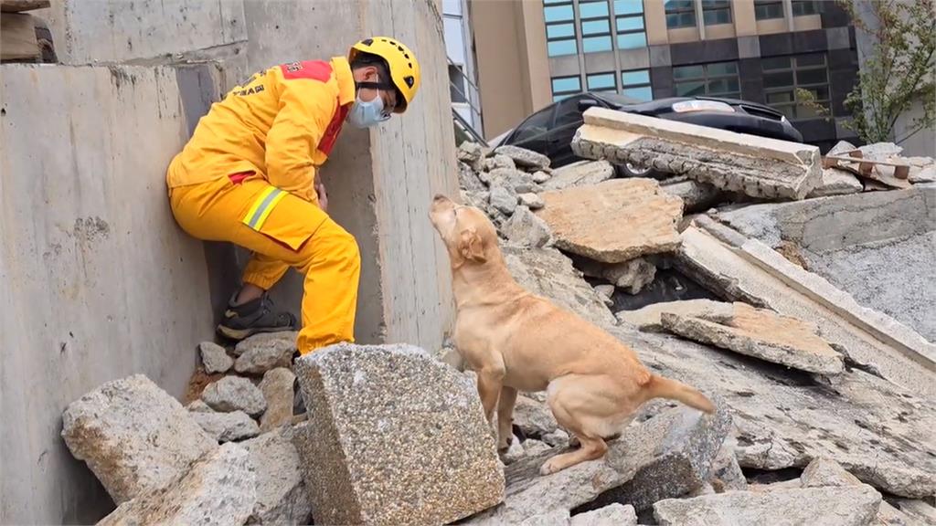 民怨搜救犬訓練場太吵　竹市消防局：已調整訓練時間