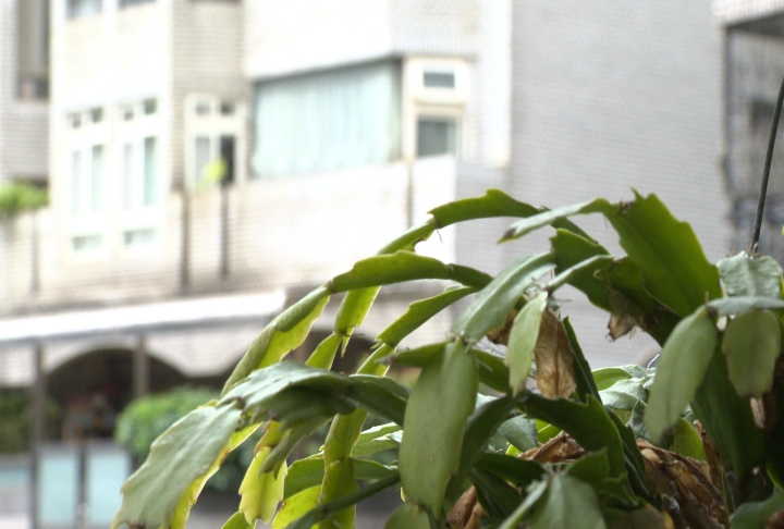 北投知名社區有「惡鄰」！　砸門又製造噪音