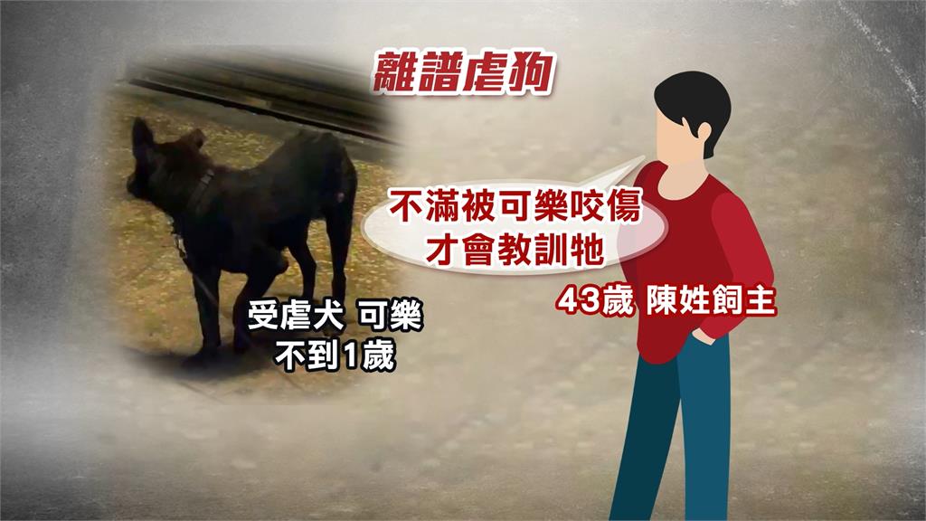 不捨!飼主涉拿棍棒打狗狗「可樂」 供稱被咬要「教訓」牠
