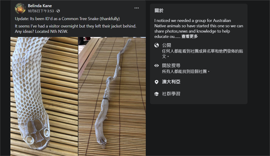快新聞／家中驚見1公尺「完整蛇皮」！　女網友崩潰到不敢入睡