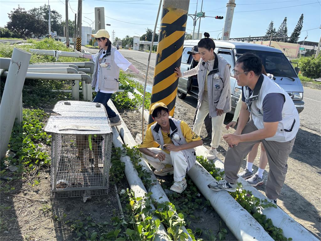 《綜藝新時代》體驗緊張感十足的實境吹箭捕犬任務! 觀摩狗狗結紮手術壯壯差點暈倒