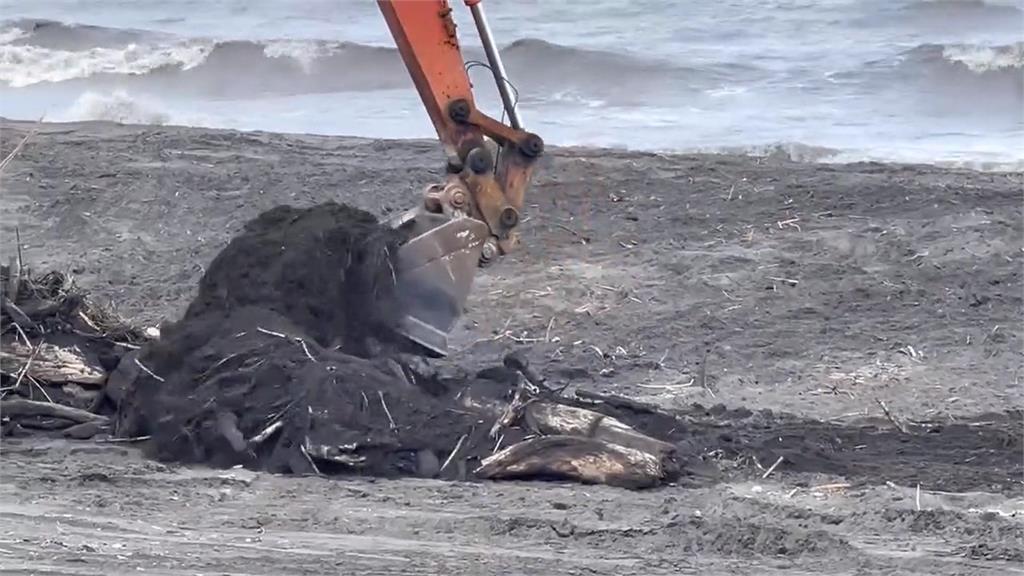 宜蘭海岸線爆量漂流木垃圾 漁民捕撈鰻苗受阻怨陷阱多