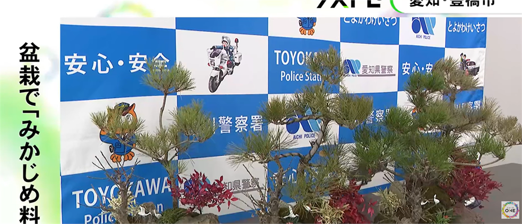 山口組大佬賣盆栽被捕！警抓包「變相收保護費」勒索八旬翁手法曝光