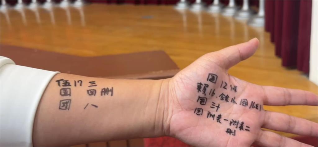 快新聞/今財委會再討論《財劃法》 國民黨甲動佔門口 陳玉珍秀「人體小抄」