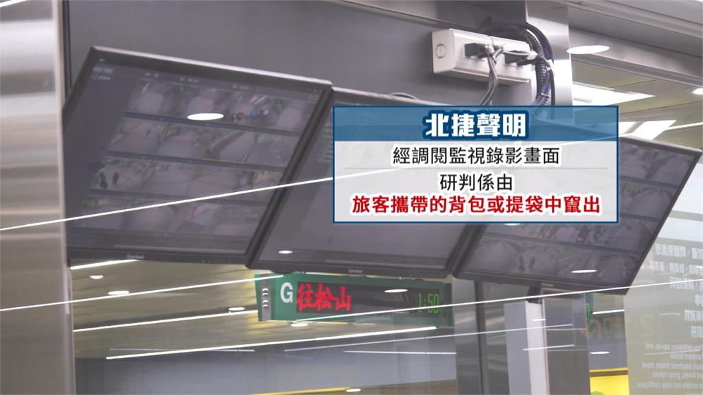 北捷聲明「老鼠是旅客背包竄出」　網友：這說法太牽強