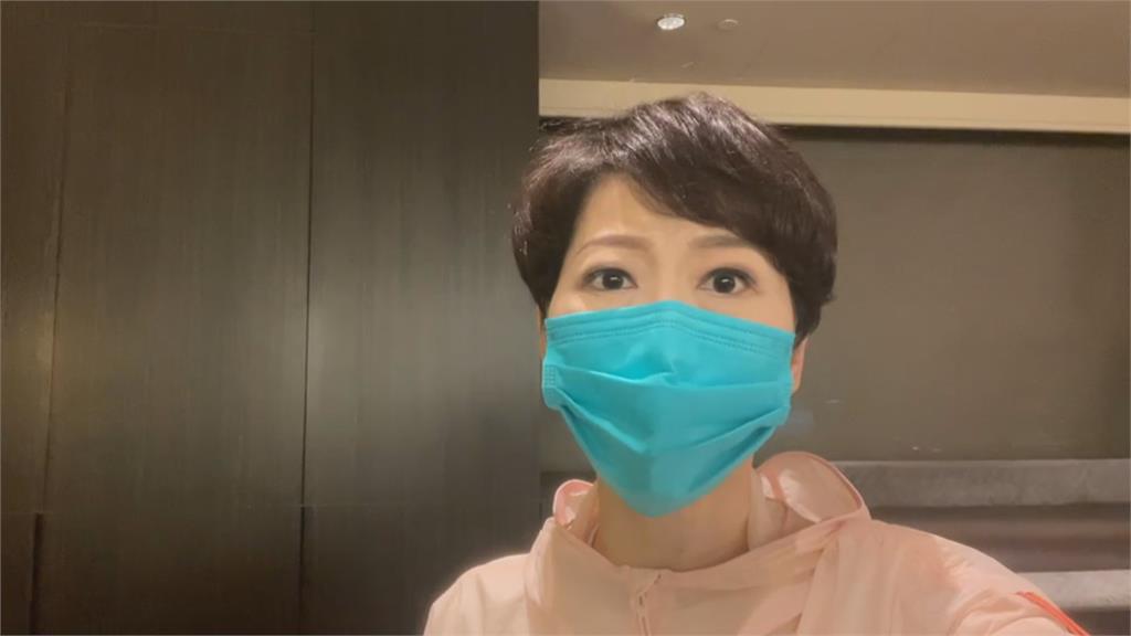 藍批小英鄰國說搞台獨 綠委:國民黨為何搶選總統