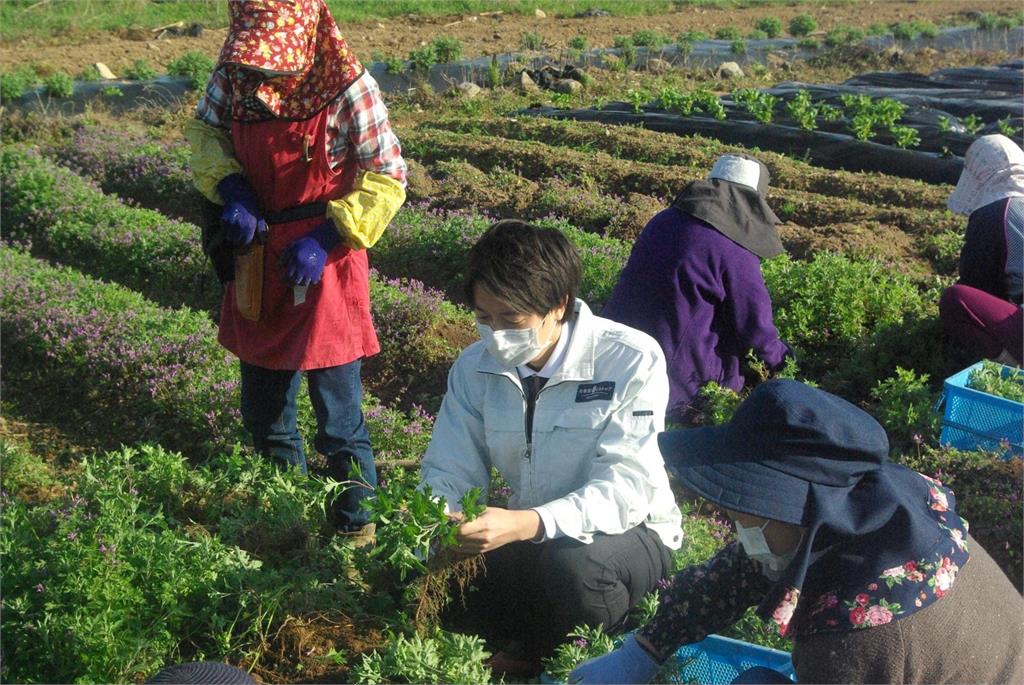 朵茉麗蔻「乳霜20」 不僅抗老保濕更實現環境永續