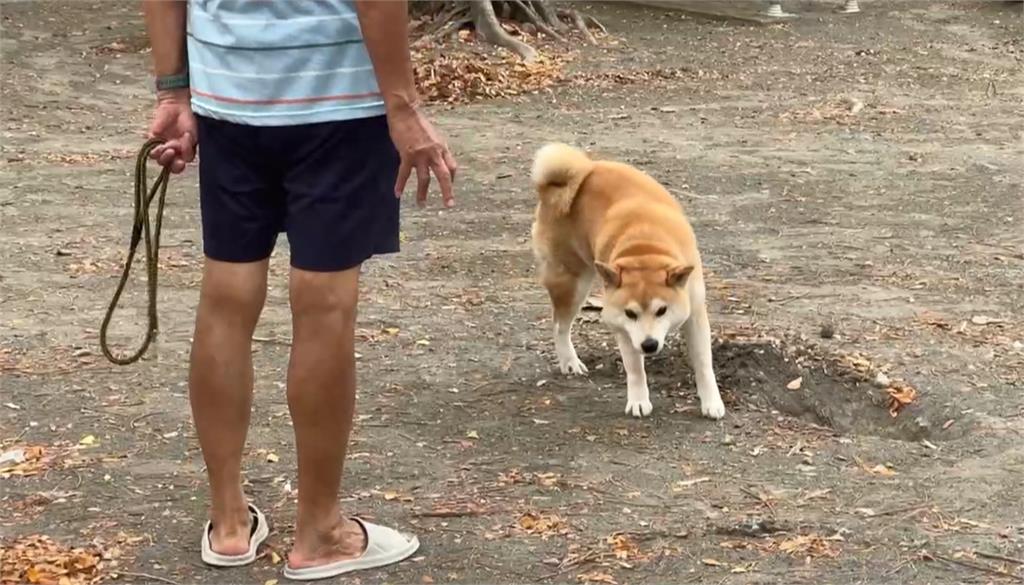 男公園餵狗「吃巧克力」引飼主不滿 供稱「不知道狗不能吃」