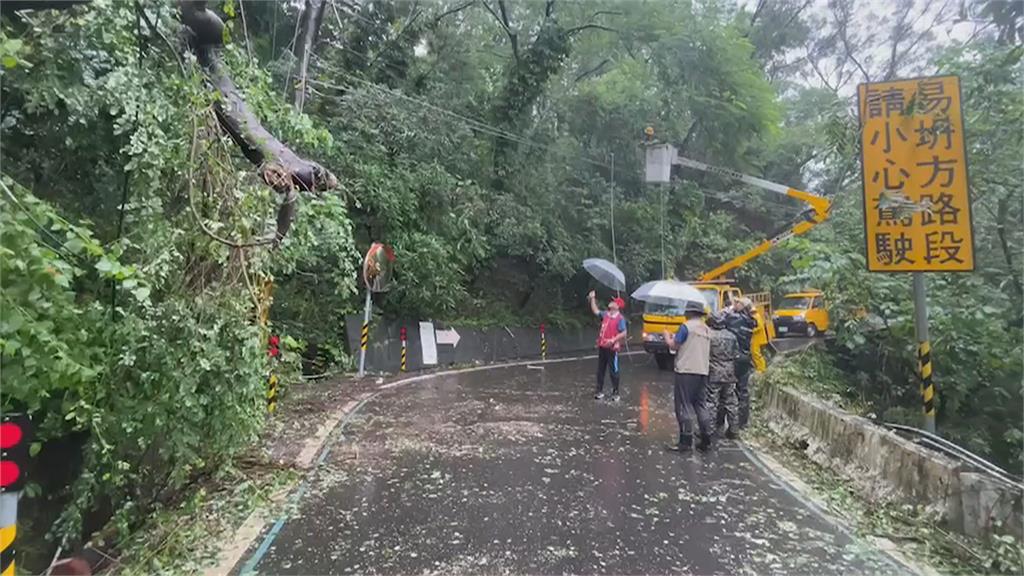 屏東西大武山雨量破1000毫米　樹倒壓斷電線泰武、來義467戶停電