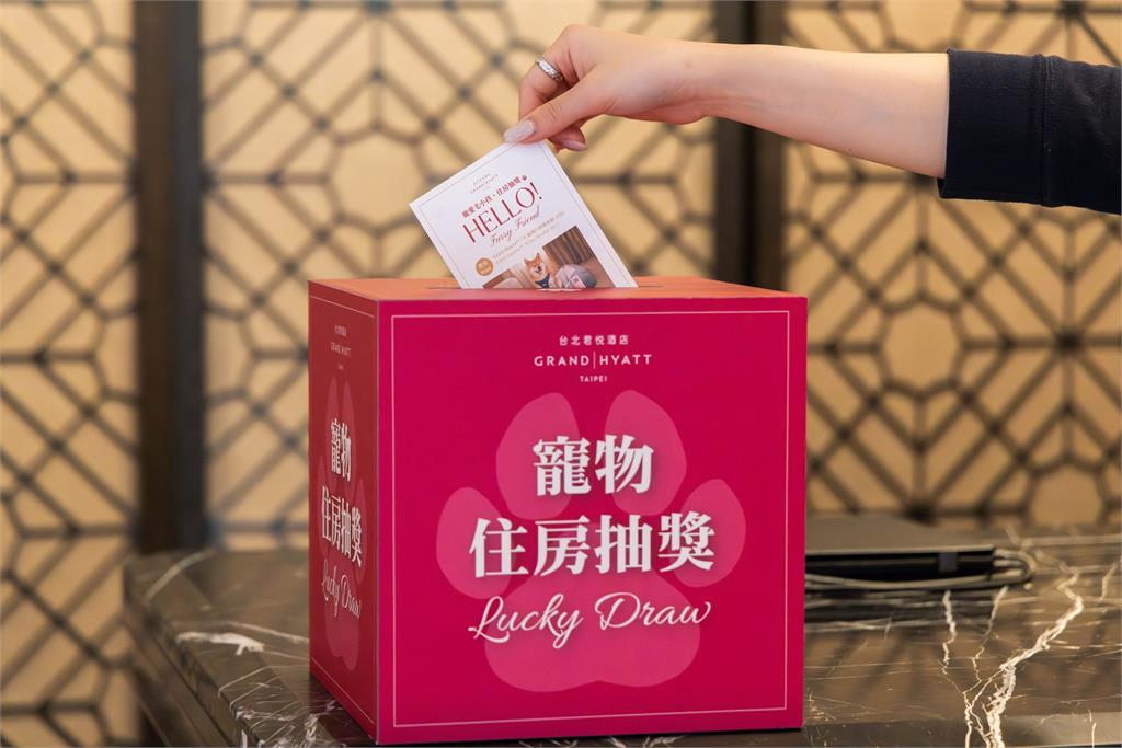 看準「毛孩旅宿熱潮」台北君悅暑期攜手8大寵物品牌、住宿贈價值三千元毛孩迎賓禮