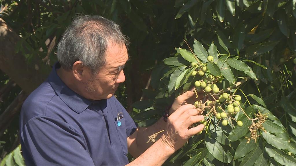 獨家/折扣搶客留不住人?古寶無患子王瑞閔靠「許願池」提升品牌黏著度!