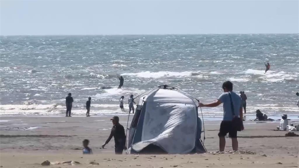 「葡萄牙戰艦」殺到台灣? 觀音濱海發現大量僧帽水母