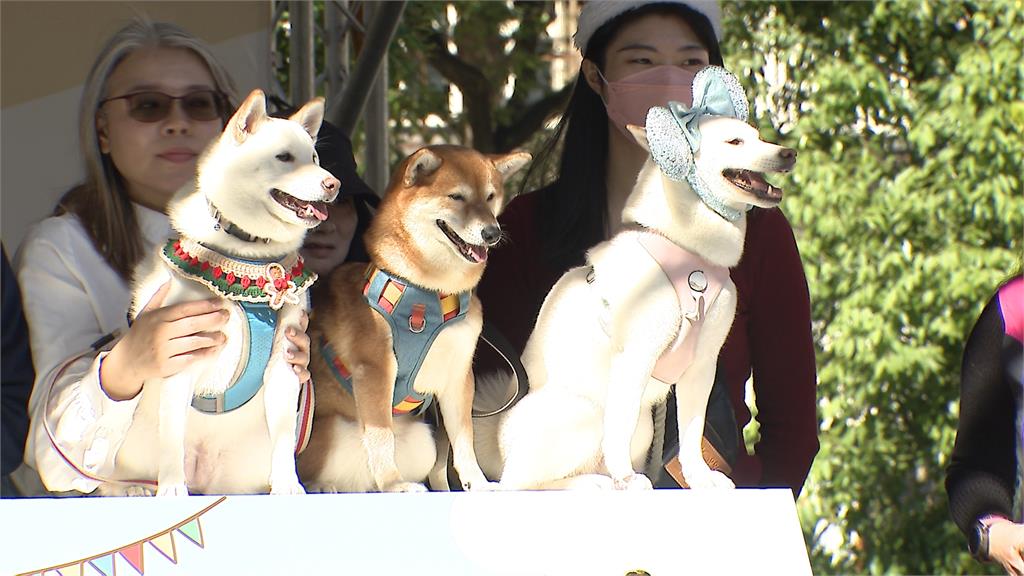 新北「毛寶貝耶誕趴」登場！　「狂想曲樂遊」主題　１１項大型設施同樂