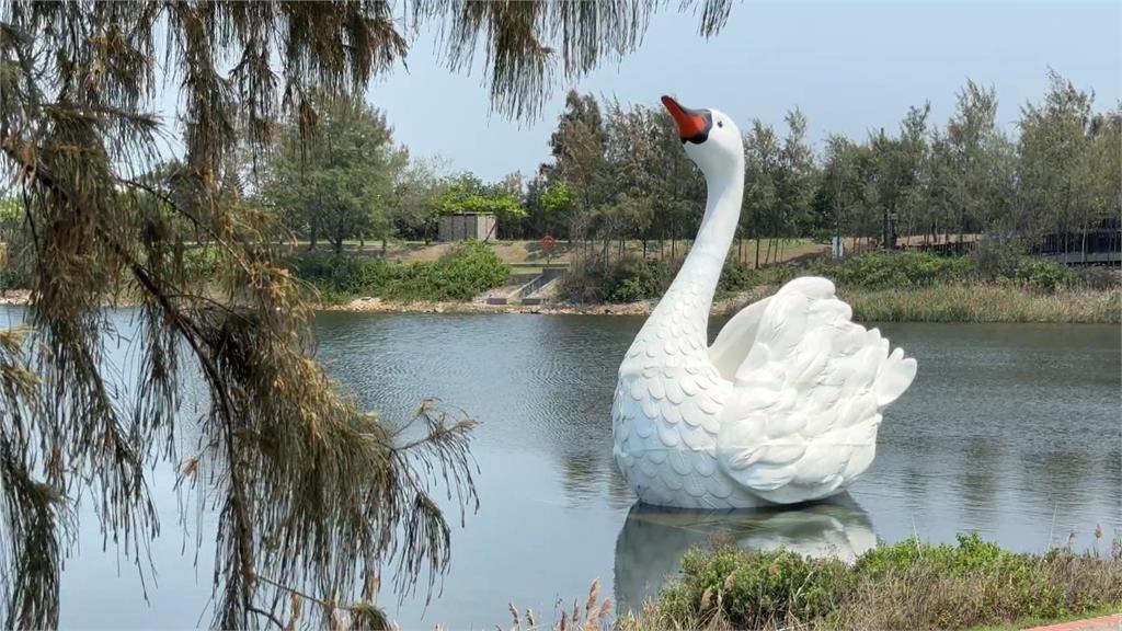 雲林天鵝湖嘉年華倒數 送百元鵝樂券、鵝料理免費吃