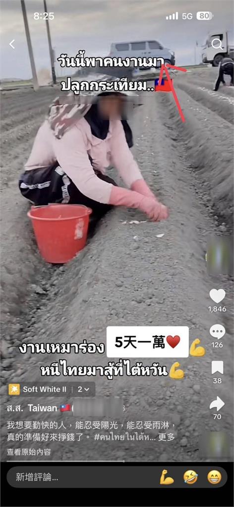 泰籍雙胞胎姊妹抖音募黑工　誘騙同鄉來台「採大蒜」