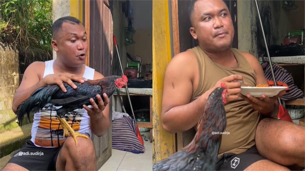 不「雞」道去哪了！印尼大叔寵物走失淚灑警局…大批警力協尋結局曝光