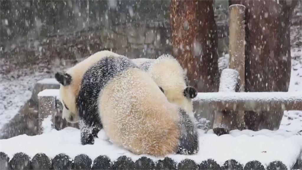 南韓首爾降雪破117年紀錄 陸空交通大亂釀3死
