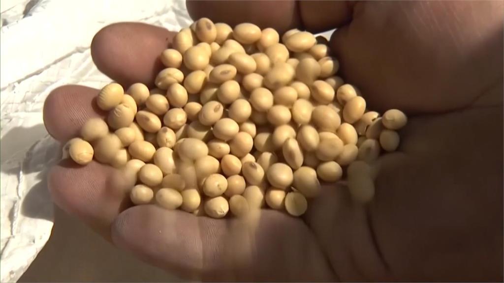 美中貿易戰升溫! 中國對美加徵34%關稅 管制稀土出口