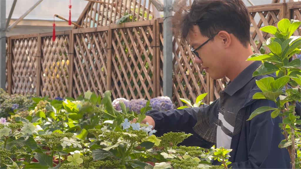 32歲花農十年磨一劍　吳承燁創新管理奪最高殊榮