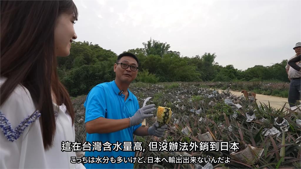 能嚐到太奢侈了!日妞體驗「現殺現吃」台灣鳳梨 狂嗑不停讚:超甜的