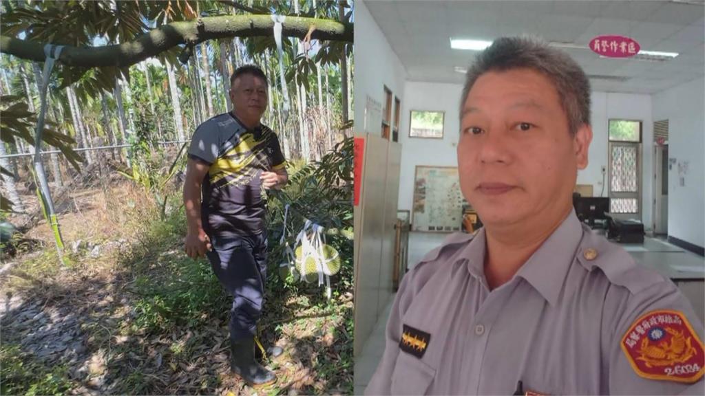 退休警察砍自家檳榔樹 挑戰種植水果之王「榴槤」