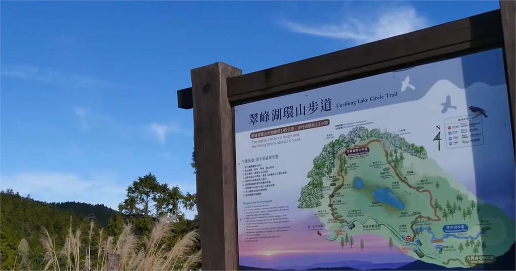 翠峰湖環山步道登全球首條「寧靜步道」　最低僅25分貝幾乎無聲