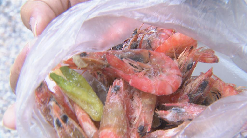 過年怕買到殭屍蝦?活蝦變黑「2原因」曝 一招教你如何分辨好蝦子!