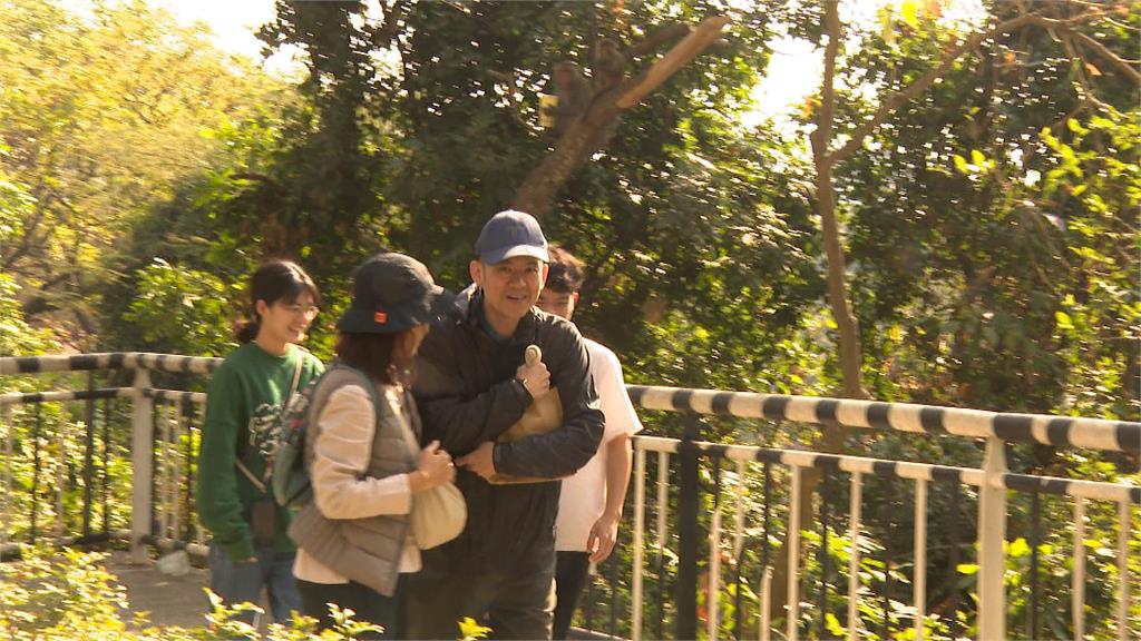 遇野生猴搶包 女大生理性溝通喊「先生 放下我包包」
