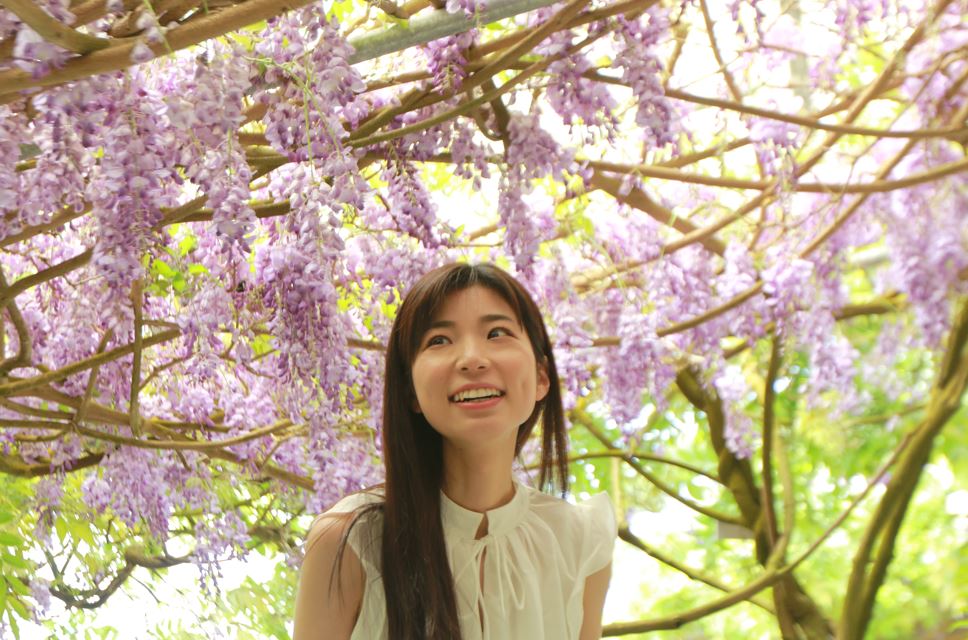 《四季嘉義》形象廣告登場!邀全球旅客體驗四季之美