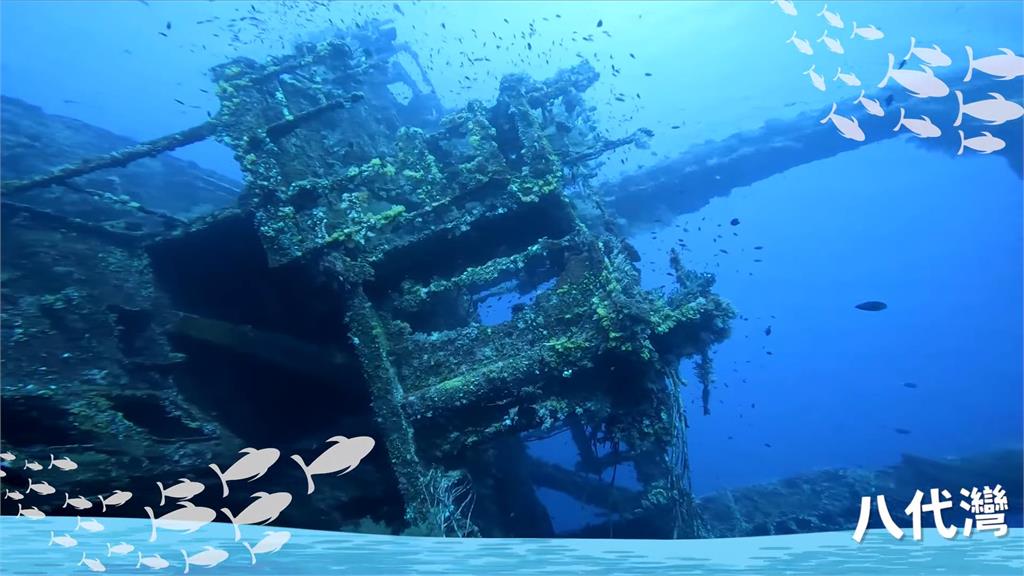 蘭嶼海下40米藏沈船秘境！走過38年成生物天堂　世界級美景潛水員讚翻