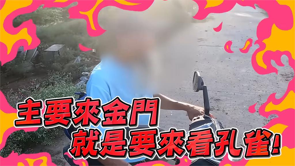 專家移除金門孔雀被阻 阿伯嗆「觀光客要看」他嘆:觀念根深蒂固