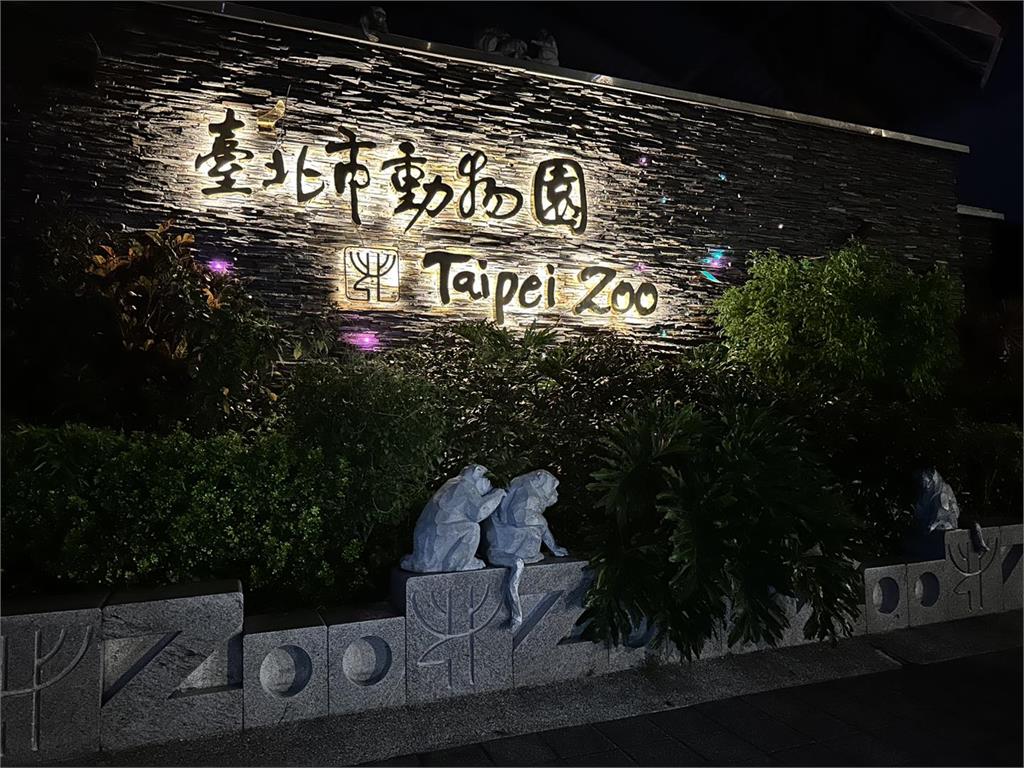 樹獺「從天而降」砸到人!下1秒「飆出最高時速」逃離現場…園方回應了